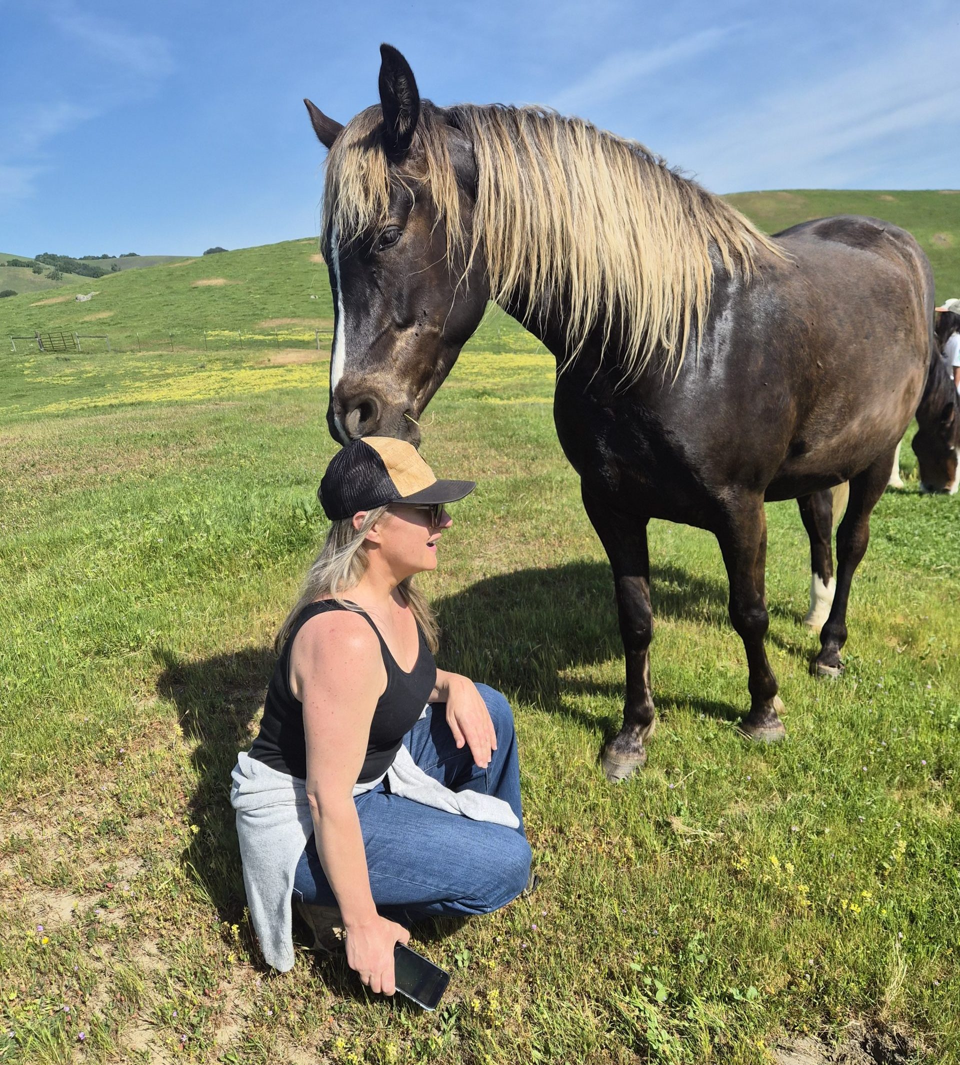 Horse and a woman