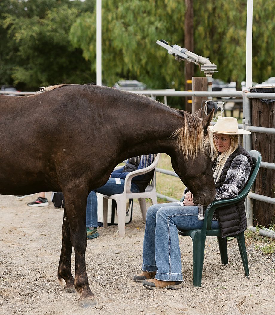 Horse and a woman